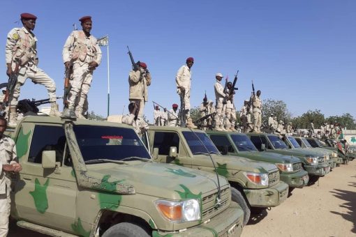 South Darfur State Receives Peace Shield Forces