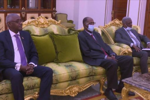 الرئيس الجيبوتي يستقبل عضو مجلس السيادة ياسر العطا