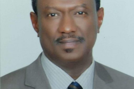 خبراء: الجنيه السوداني يمكن ان يسترد عافيته بالتنمية الاقتصادية الراشدة