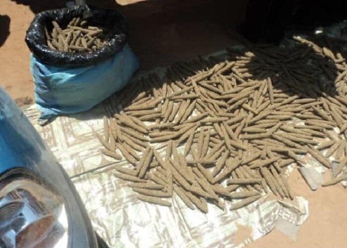 شرطة مكافحة المخدرات بشرق دارفور تضبط 1000 رأس من الحشيش