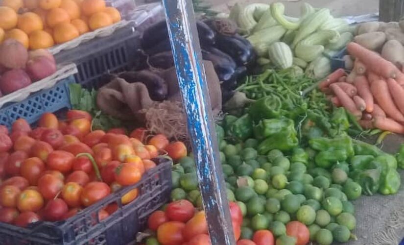 مواطنو مروي يشتكون من إرتفاع أسعار الخضروات الشتوية