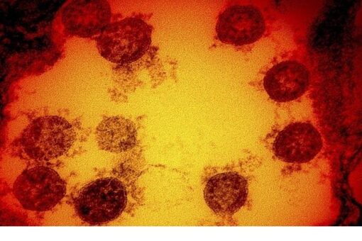 تسجيل ثلاث حالات جديدة بفيروس كورونا و4حالات تعافي بالشمالية