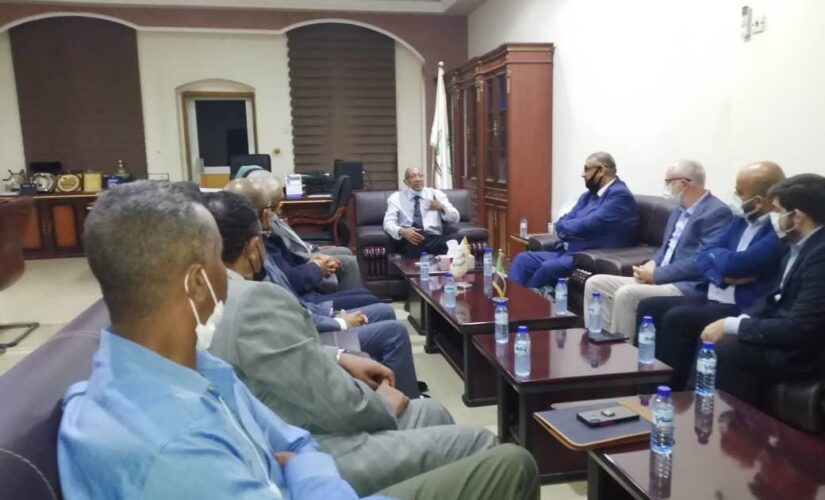 وزير الصحة يستقبل وفد شركة سدرا شادو القطرية الدوائية