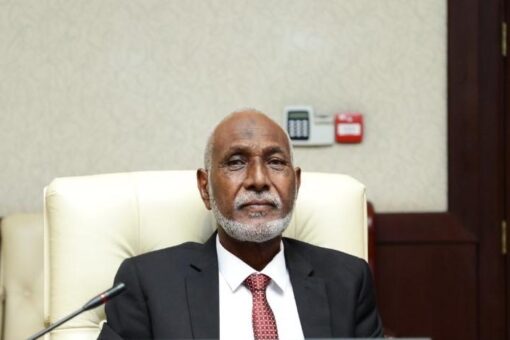 Governor: security, political situation stable in East Darfur