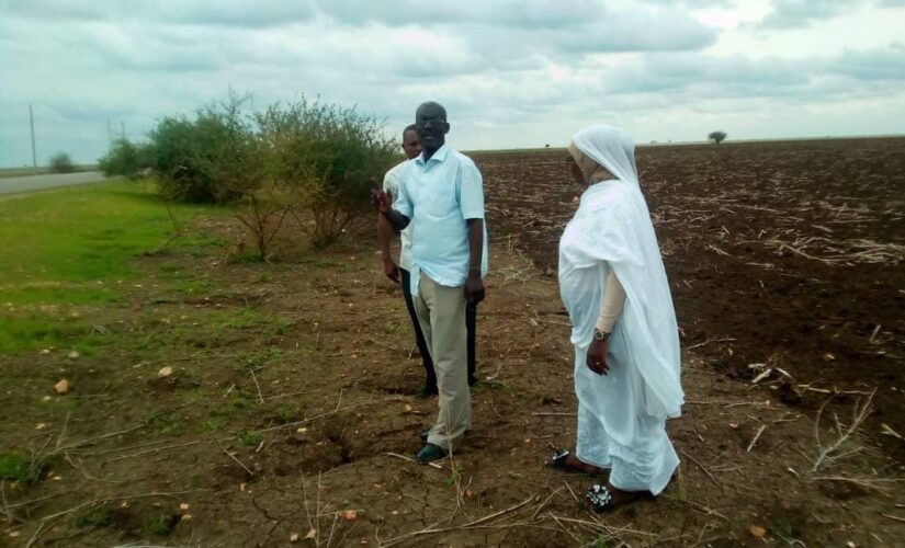 50 مليون دولار لمشروع السودان للإدارة المستدامة للموارد الطبيعية بسنار