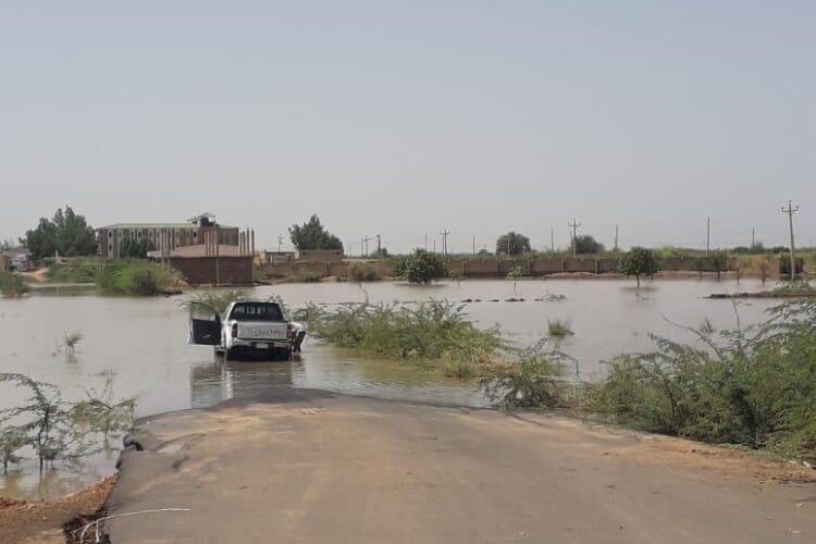 جامعة وادي النيل تقود مبادرة دعم للمتضررين من السيول والأمطار