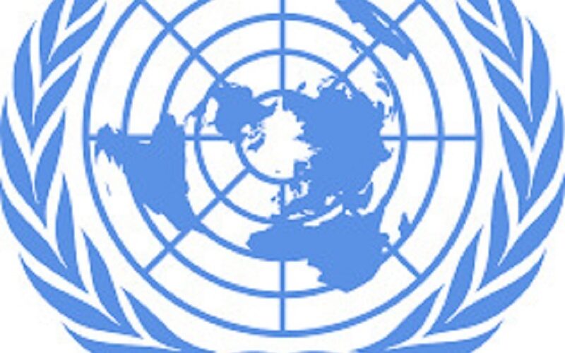 يوم تضامني مع السودان بالأمم المتحدة