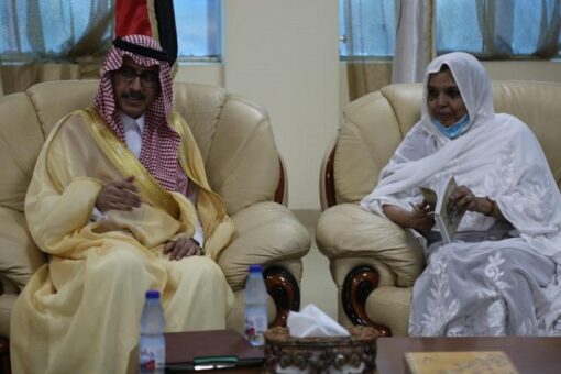 وزيرة التعليم العالي تبحث تعزيز التعاون بين الجامعات السودانية والسعودية