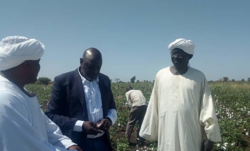 مزارعو النيل الازرق يشيدون بالتجارب الناجحة مع الشركات الزراعية