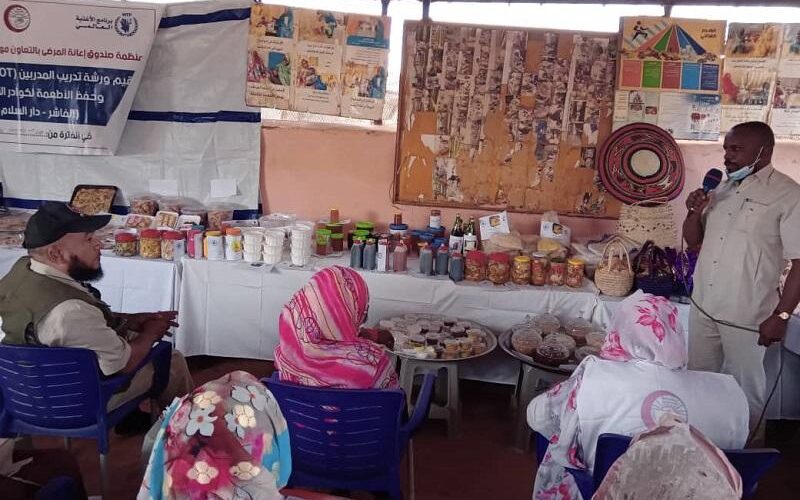 حكومة شمال دارفور تثمن جهود صندوق إعانة المرضى