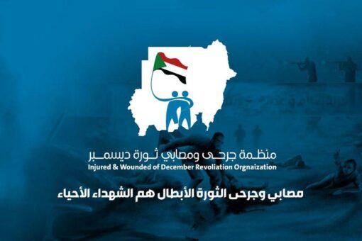 السفارة السودانية باوكرانيا تستقبل الوفد الأول من مصابي ثورة ديسمبر