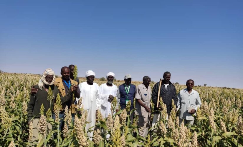 مشروع ملم الوديان الزراعي بشمال دارفور : انموذج للتنمية الريفية