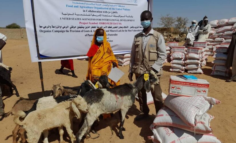 توزيع (2500) راس من الماعز لعدد من الاسر بجنوب دارفور