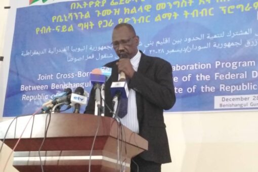حاكم إقليم النيل الأزرق يؤكد على أهمية التعاون مع إثيوبيا