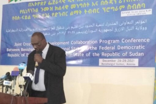 العمدة يؤكد أهمية العمل المشترك مع إثيوبيا لتسهيل عودة النازحين
