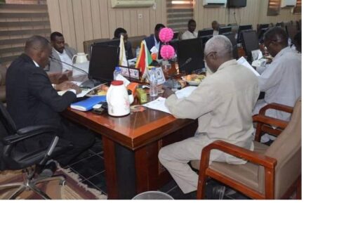 لجنة لمعالجة قضايا شركات الاتصالات بشمال دارفور