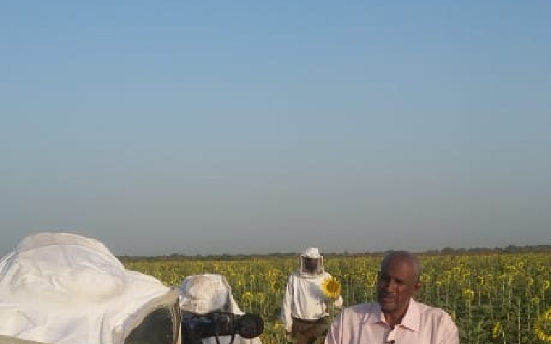 امكانات تضع السودان في مقدمة الدول انتاجاً لعسل النحل