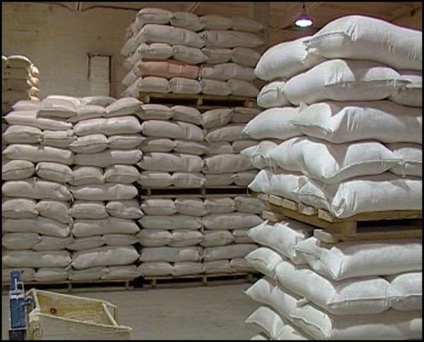 مدير عام المالية بالجزيرة: وفرنا 250 طن سكر للعاملين بالولاية
