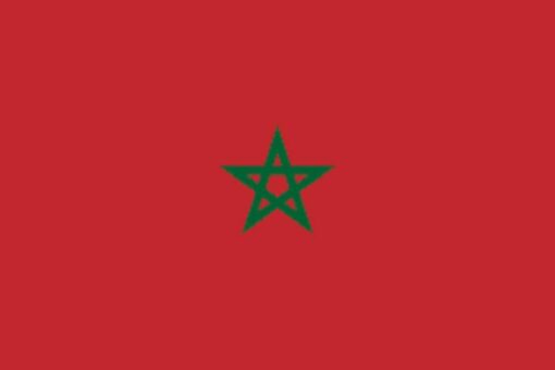 انطلاق أعمال الاجتماع الوزاري للبلدان الرائدةفى تنفيذ ميثاق مراكش للهجرة