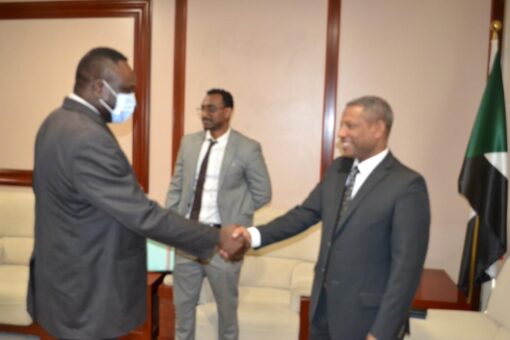 وزير الطاقة يبحث مع السفير الأثيوبي التعاون في مجال الطاقة