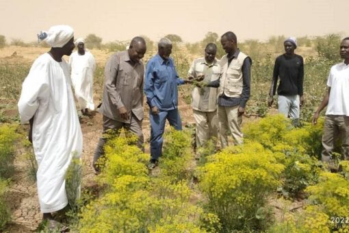 زكاة شمال دارفور تتبنى تنفيذ مشروع زراعي لصالح الفقراء