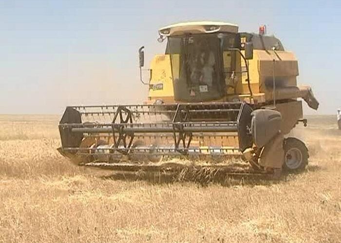 وزارة الإنتاج بالنيل الأبيض: عمليات حصاد القمح تسير بصورة جيدة