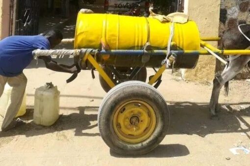 مواطنو الدمازين يطالبون بإيجاد حلول جذرية لانقطاع مياه الشرب