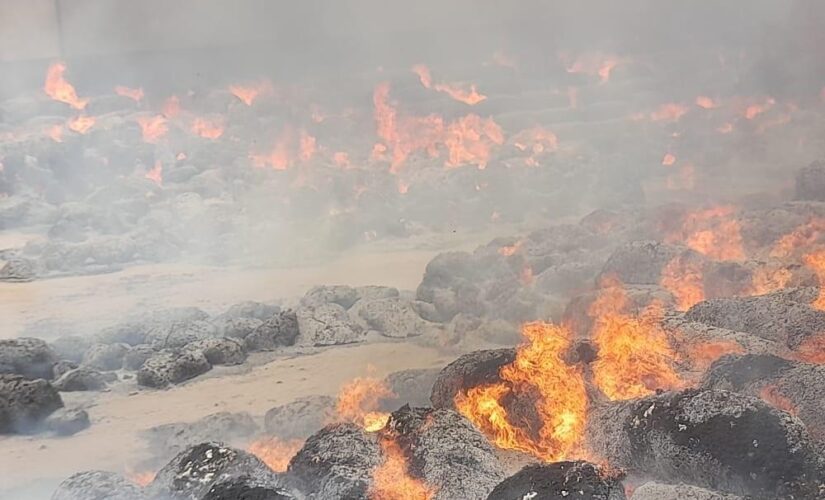 حريق بمحلج محمد يوسف بمارنجان يؤدي لخسائر فادحة