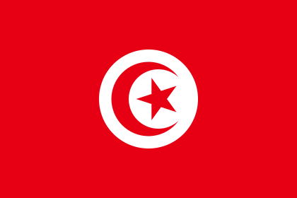 الإنتقال الطّاقي: تونس تنطلق لتسريع وتيرة الانتقال الطاقي