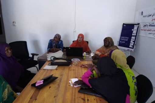 شبكة نساء النيل الازرق تجدد جاهزيتها لإنفاذ عدد من المشروعات