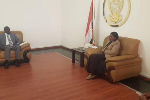 الحكومة الاتحادية تؤكد دعم ولاية الخرطوم لتوفير الخدمات الضرورية للمواطن