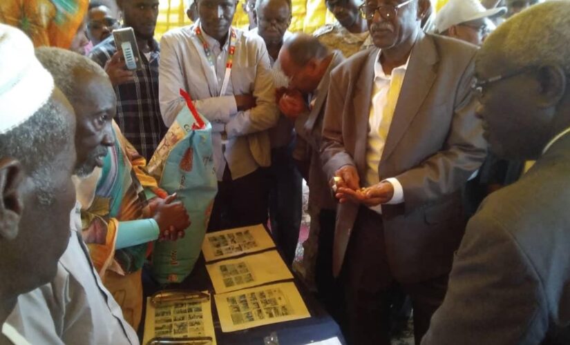 مشروع بناء القدرات يدرب مزارعين على تقانات إنتاج الفول السوداني