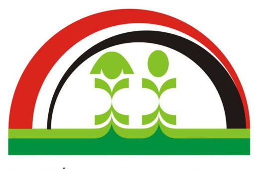 مجلس الطفولة يؤكد إلتزام حكومة السودان بميثاق الطفل الأفريقي