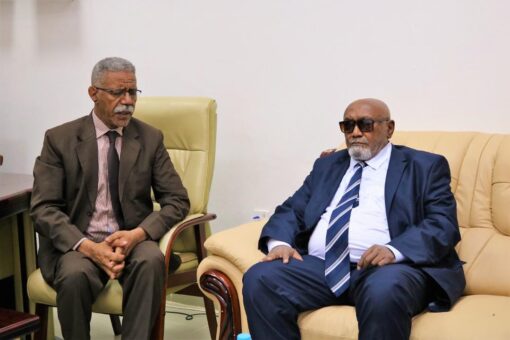 رئيس مجلس التخصصات الطبية يلتقي السفير السوداني بجمهورية إيرلندا