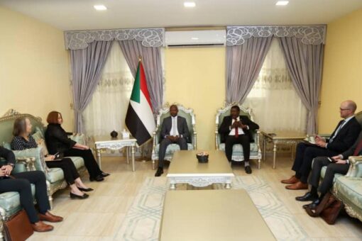 الهادي إدريس يلتقى مساعدة وزير الخارجية للشؤون الأفريقية